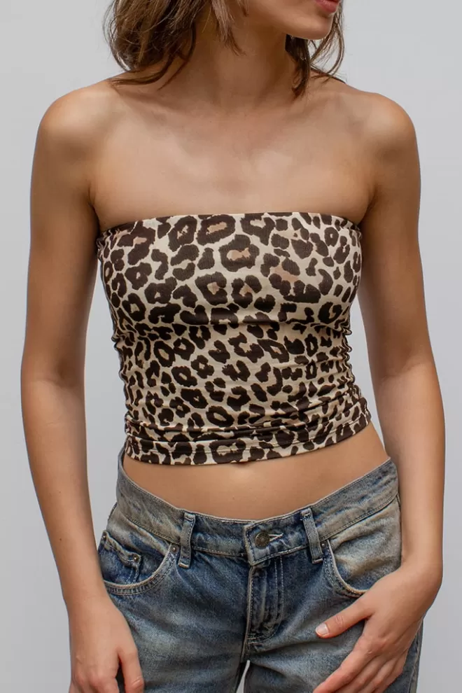Top^Subdued Top a fascia
